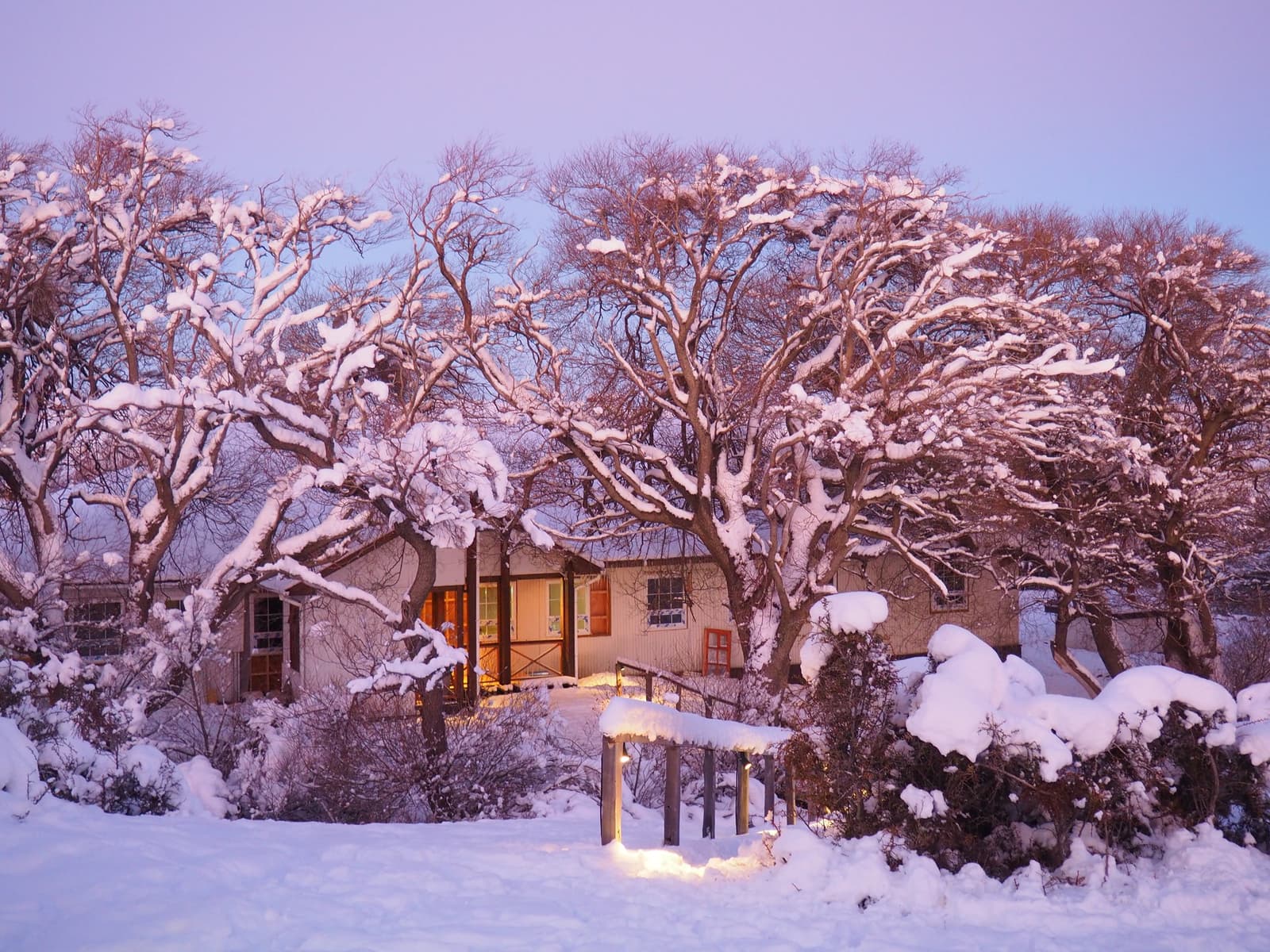 Snow piles up, the lights come on, and the lodge earns its keep. Photo: Estancia Cerro Guido's historic ranch house glowing with warm interior light at dusk, surrounded by bare snow-laden trees and a deep blanket of snow covering the garden and pathways under a purple winter sky
