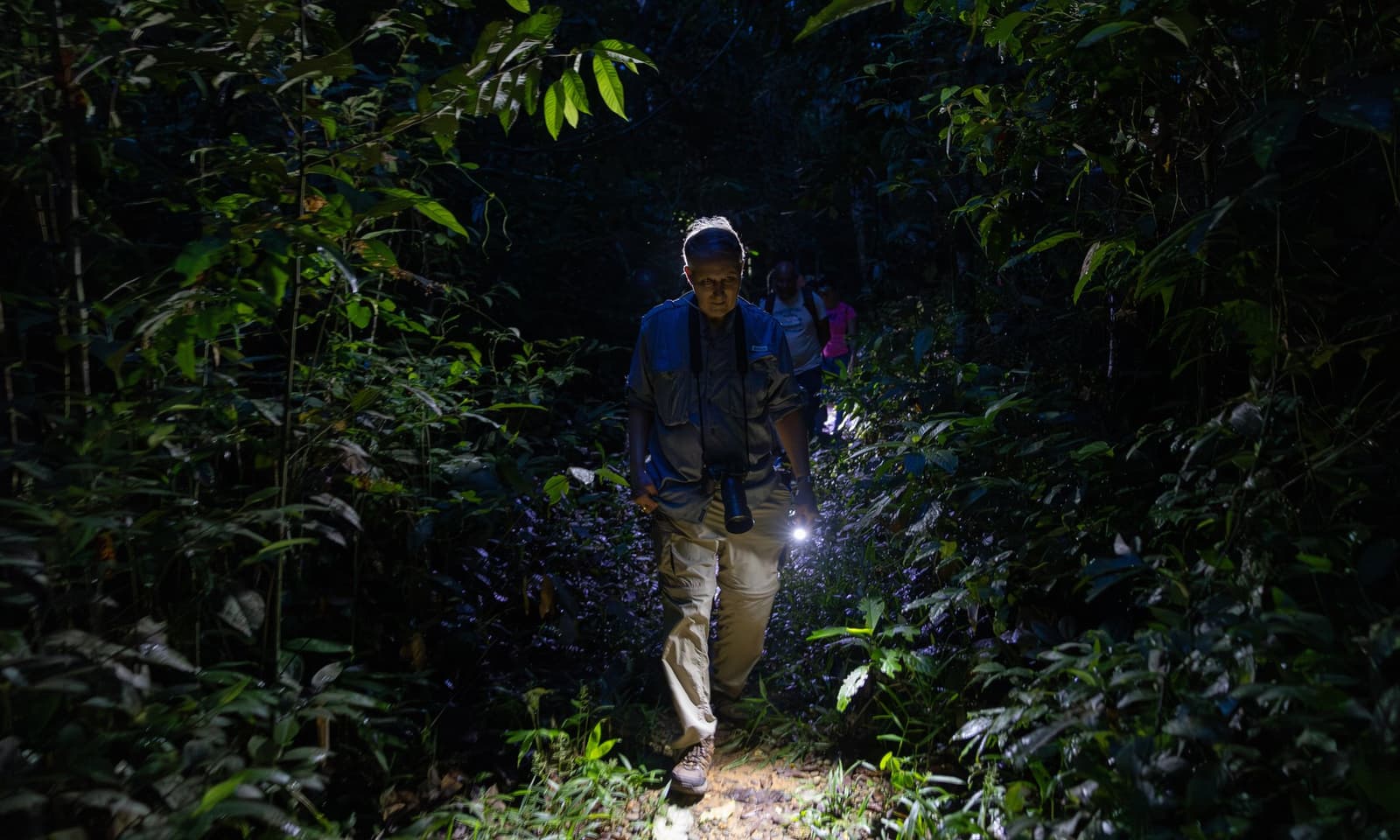 Torch on, forest awake. Night shifts here belong to the guides. A naturalist guide leads a small group along a dark rainforest trail during a night walk on an amazon tour from puerto maldonado, holding a bright torch while dense tropical foliage closes in on both sides
