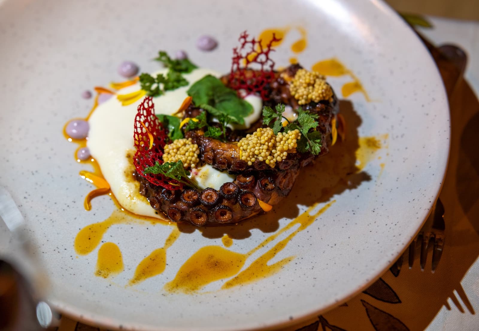 Octopus on the Patagonian steppe. The kitchen is clearly not playing it safe. A charred octopus tentacle arranged on a speckled ceramic plate at Estancia Cerro Guido, garnished with cream sauce, pickled mustard seeds, fresh herbs, crispy red tuile, and golden sauce drops