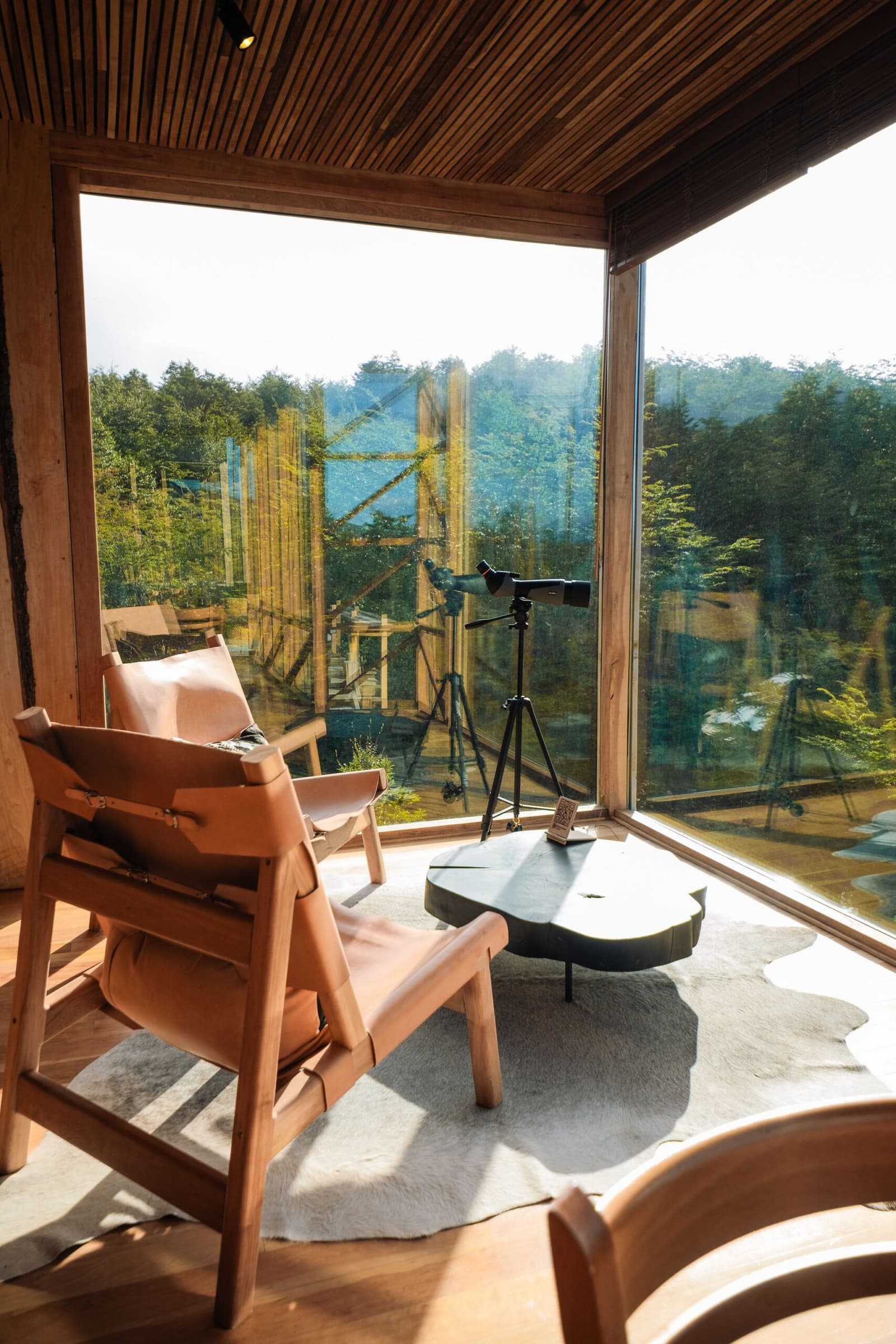 A spotting scope, a good chair, and nowhere else you need to be. Photo: Patagonia Camp Leather safari chairs and a spotting scope on a tripod face floor-to-ceiling corner windows at Patagonia Camp, with a forested hillside filling the view beyond the wooden-framed glass
