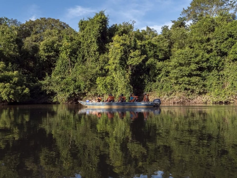 Excursion en bateau dans le Pantanal Brésil