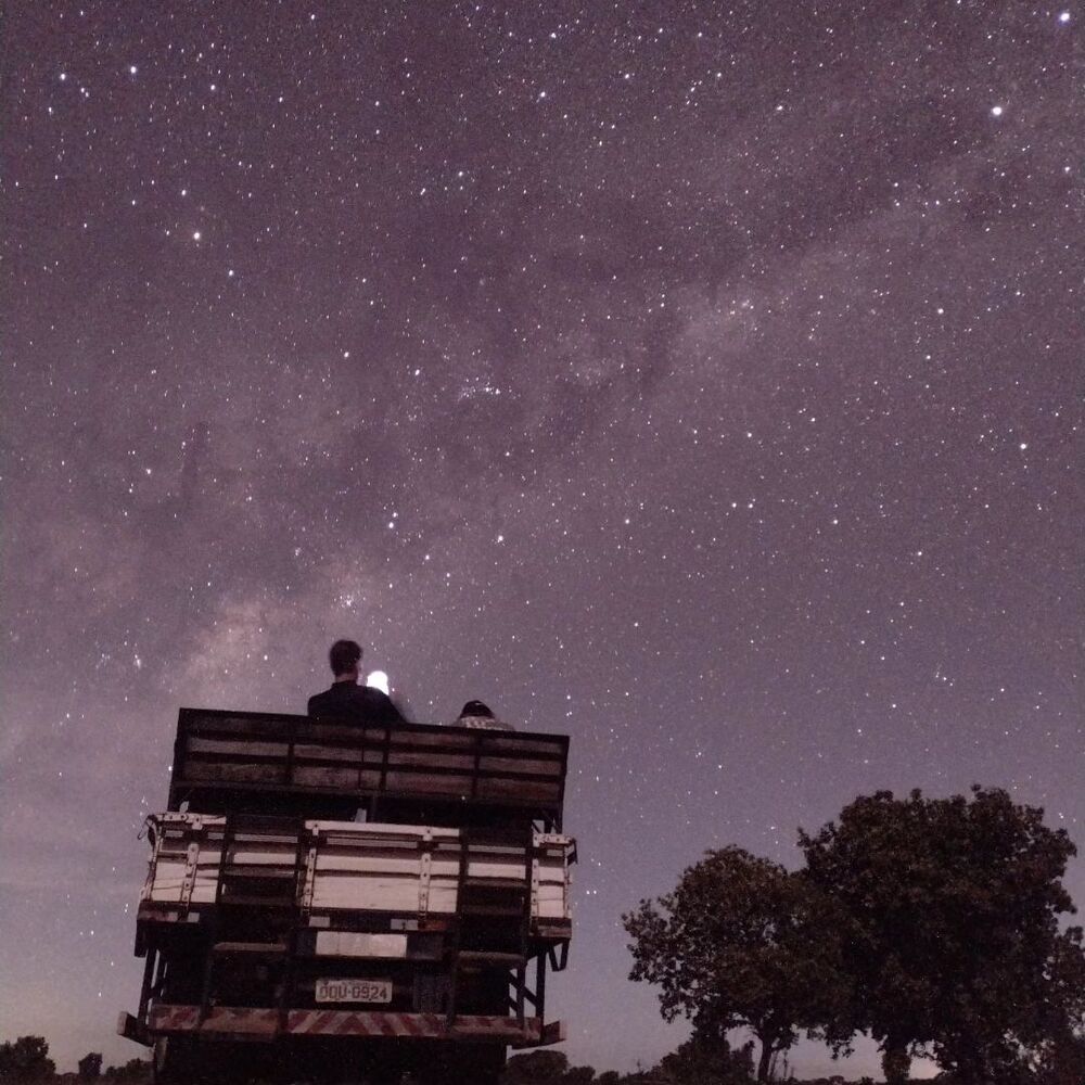 Safari Pantanal Brésil