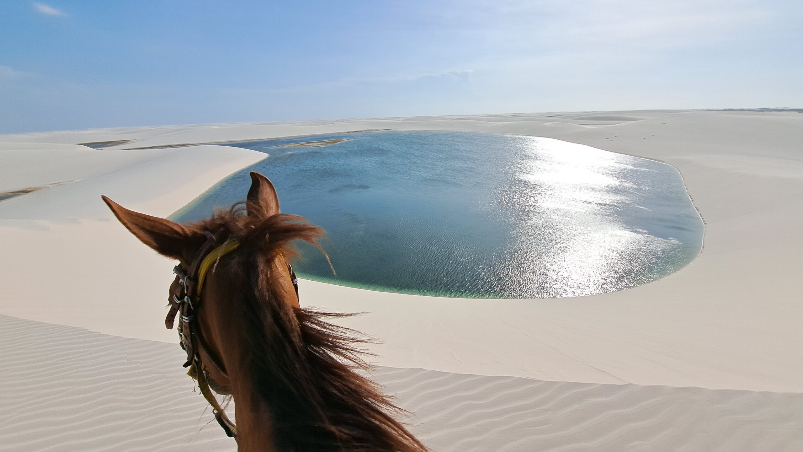 Paard in de Lencois Maranhenses 