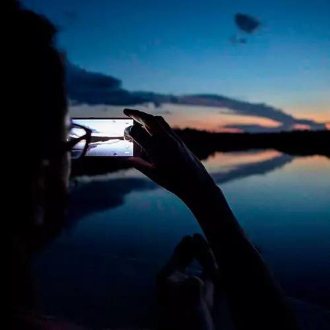 Safari Amazon jungle