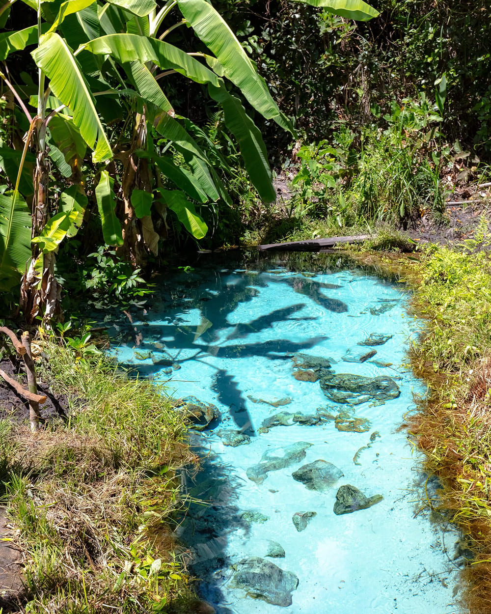 Jalapão Tocantins Brazilië Rondreis - natuur