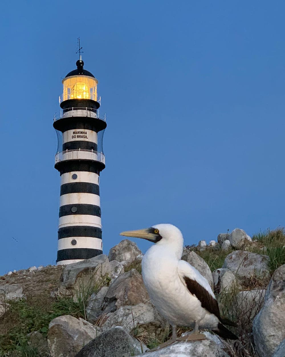 Liveboard Tauchen Abrolhos Brasilien 