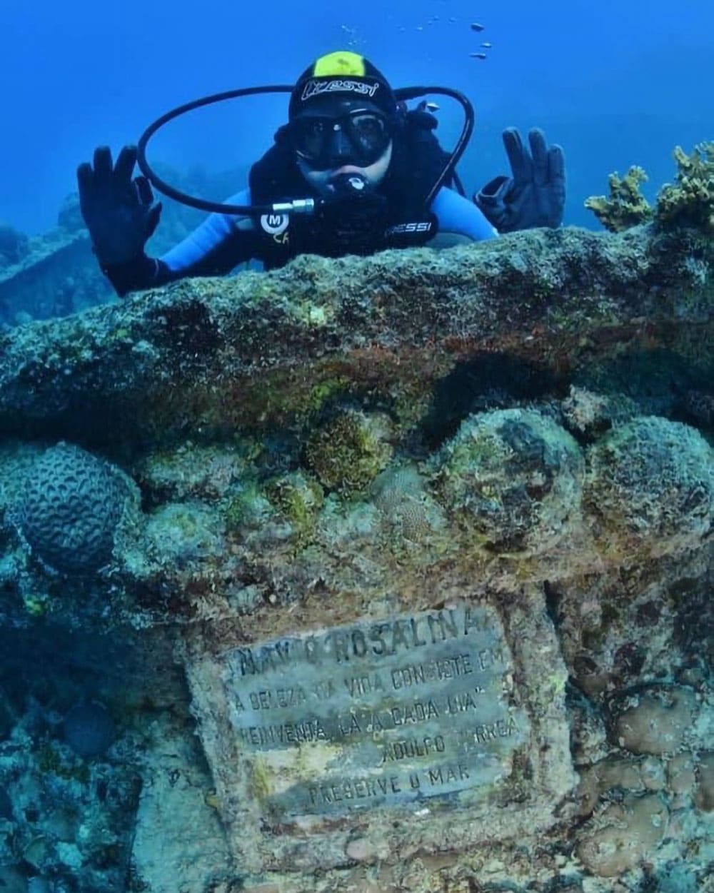 Tauchen Abrolhos Brasilien