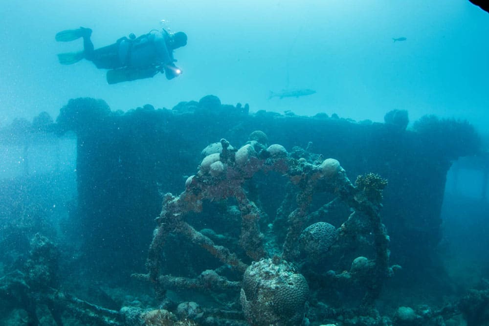 Tauchen Abrolhos Brasilien