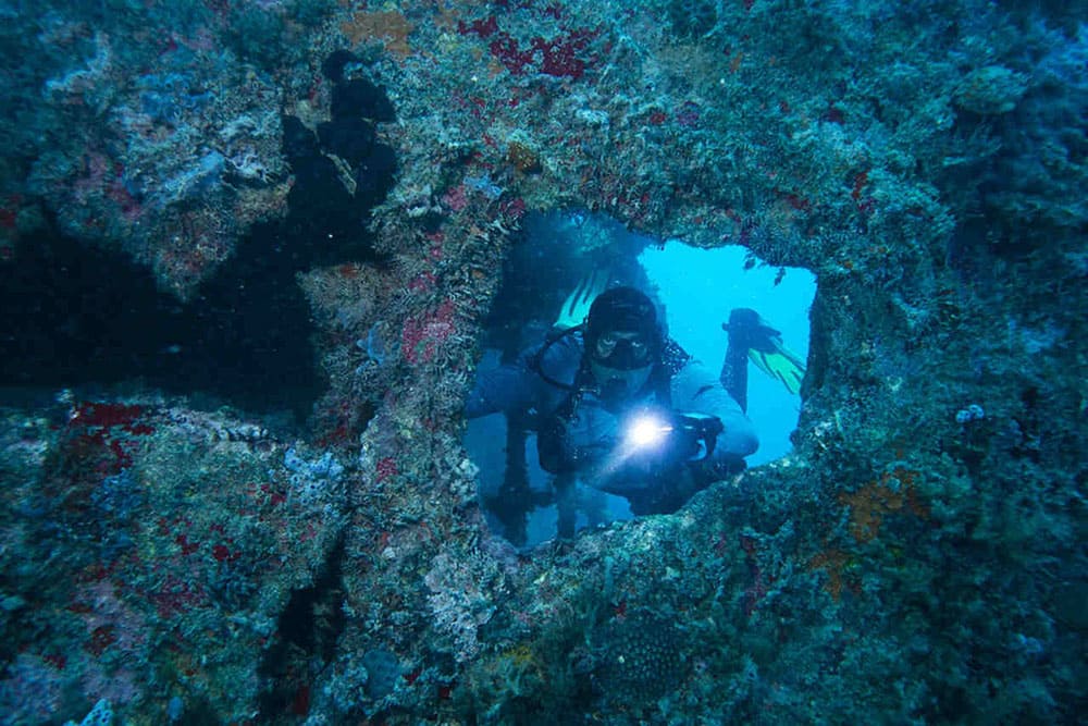 Tauchen Liveboard Abrolhos Brasilien