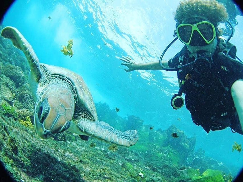 Tauchen Liveboard Abrolhos Brasilien