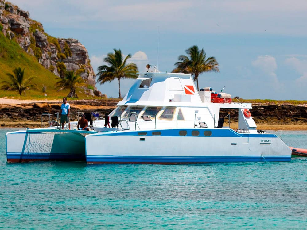 Tauchen Abrolhos Brasilien