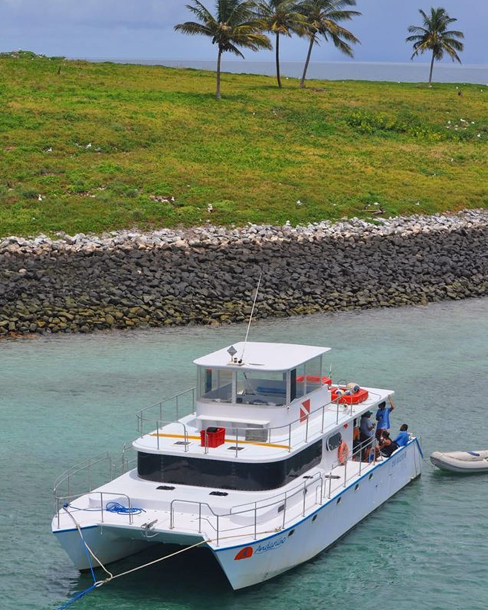 Tauchen Liveboard Abrolhos Brasilien