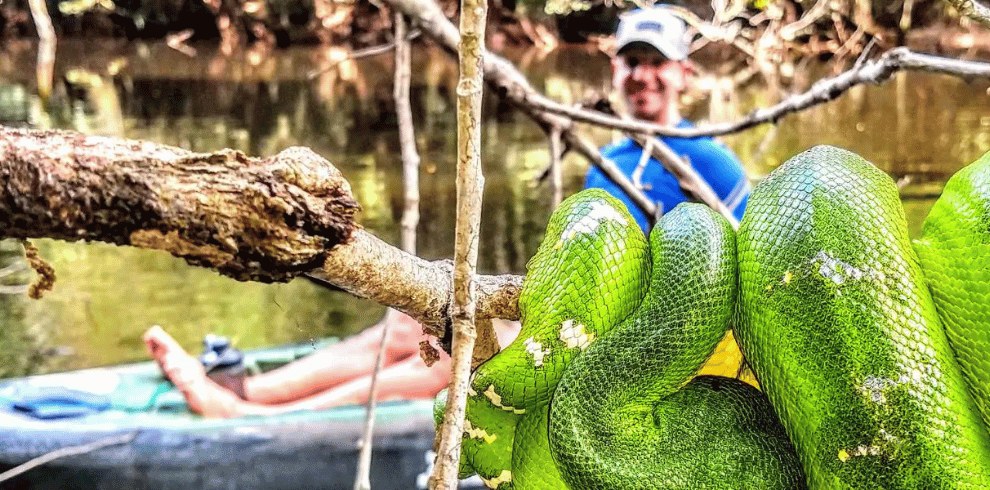 4-tägige Amazonas Kajaktour in Brasilien