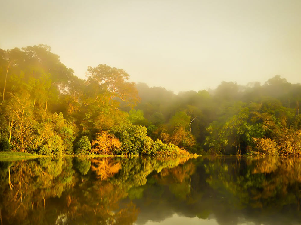 Amazonas Trek Abenteuer und Survival