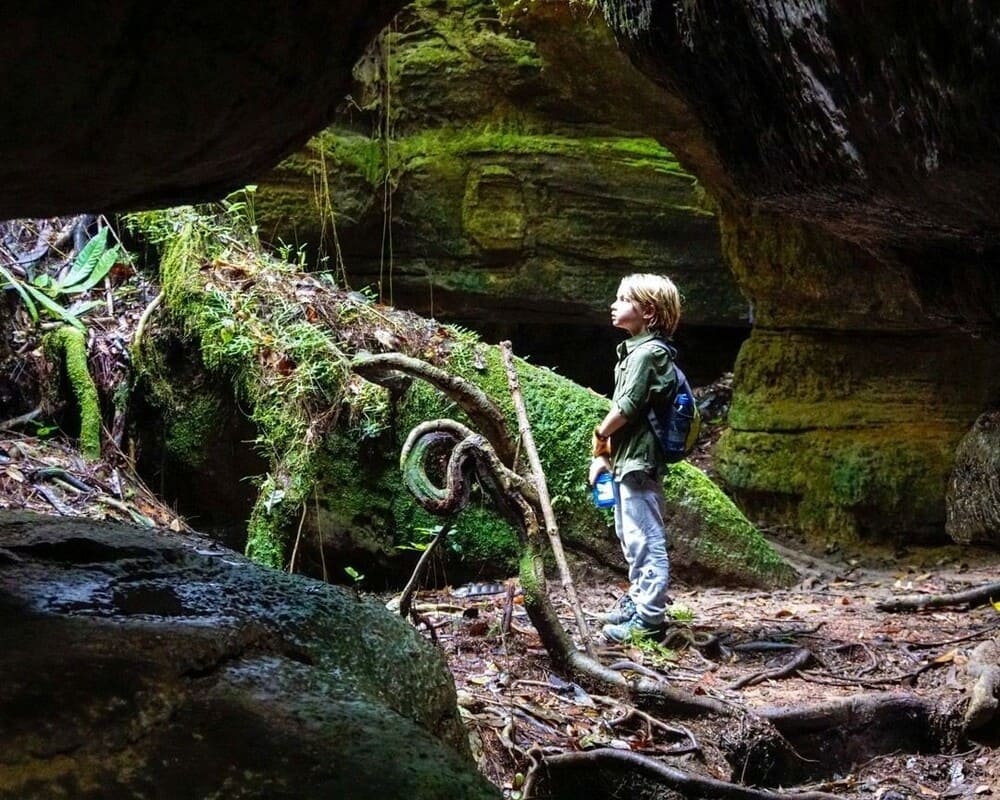 Trektochten in het Amazonewoud