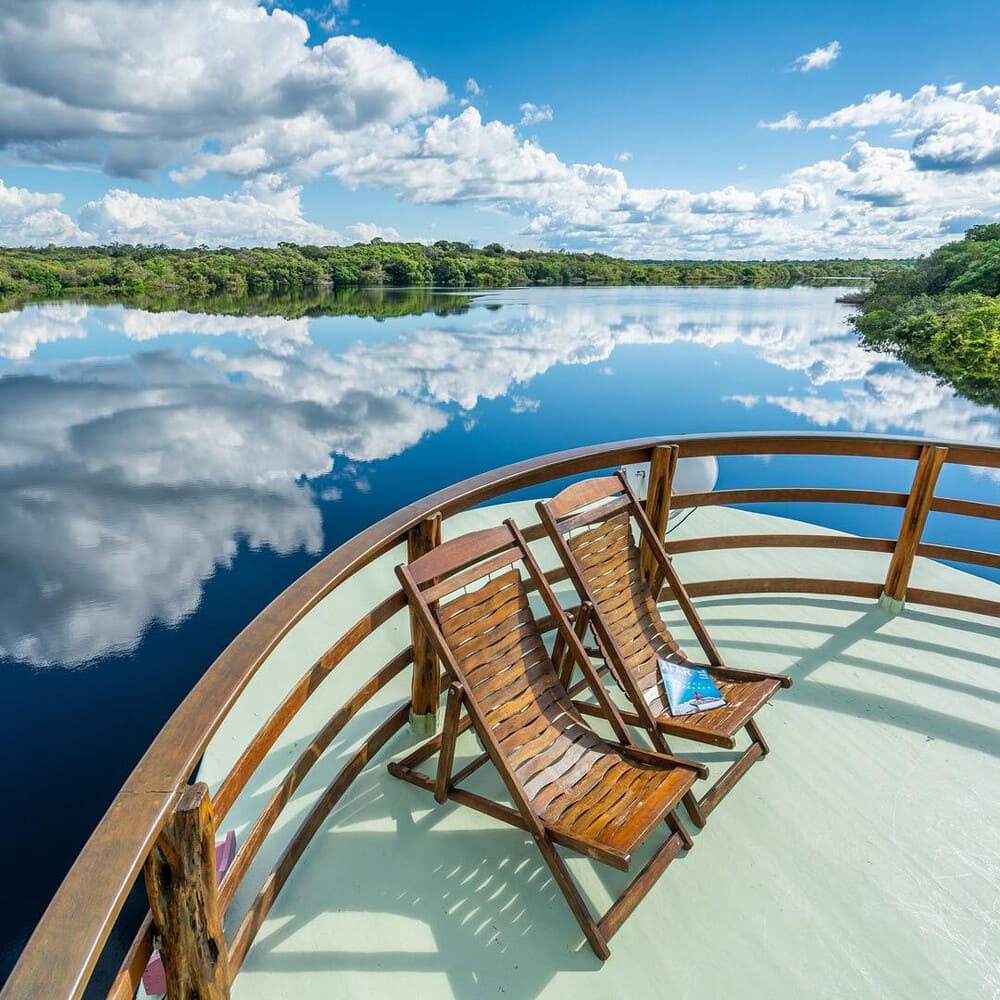 Amazone-jungle cruise Brazilië