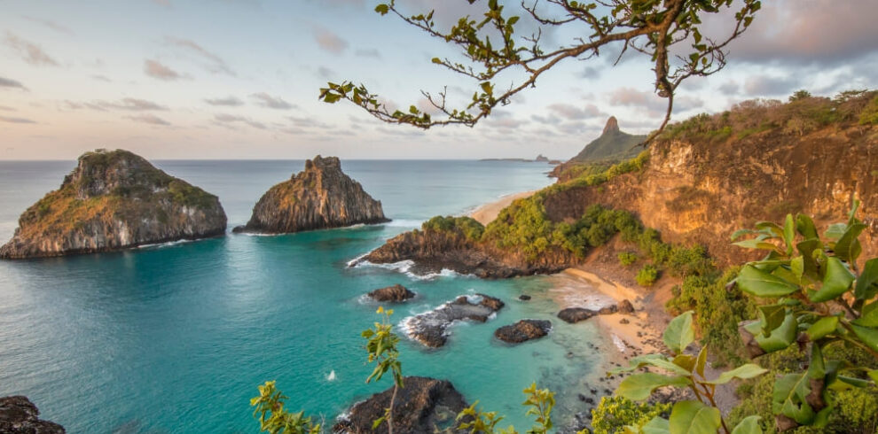 5-Day Fernando de Noronha Diving Trip