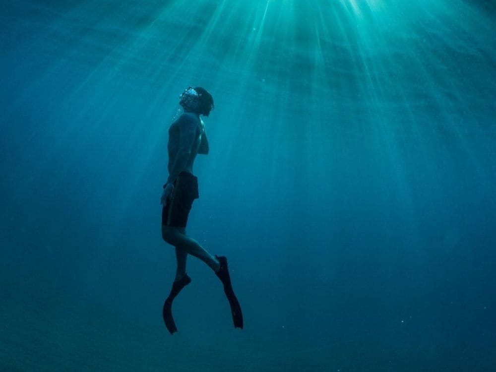 Forfaits de Plongée à Fernando de Noronha