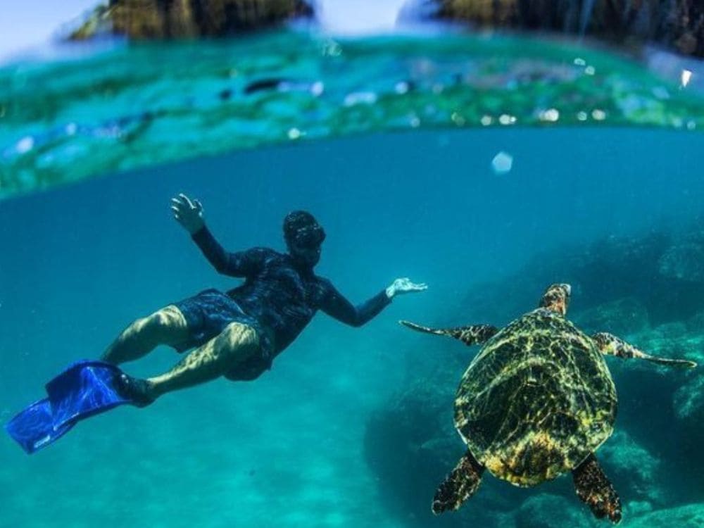 Forfaits de Plongée à Fernando de Noronha
