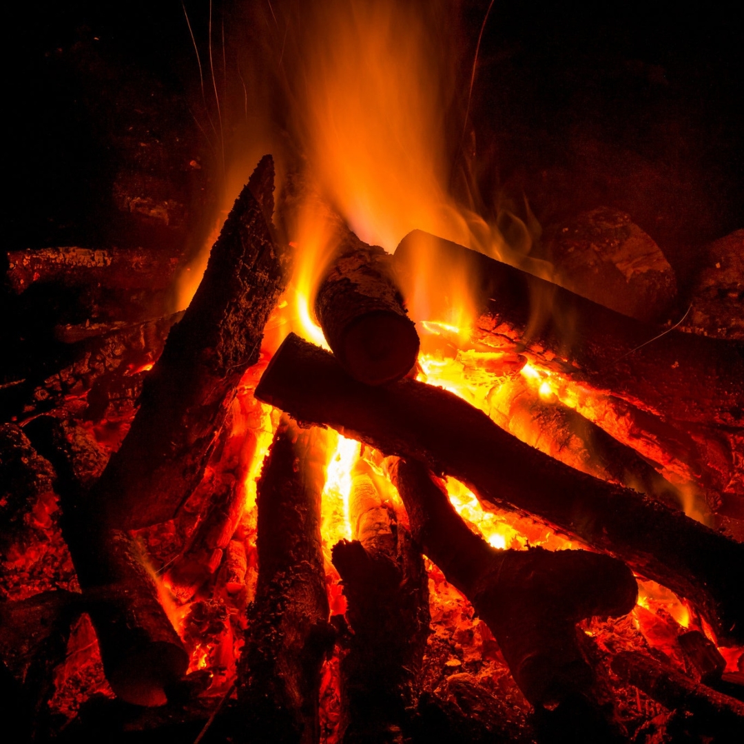 Sobrevivência na Amazônia