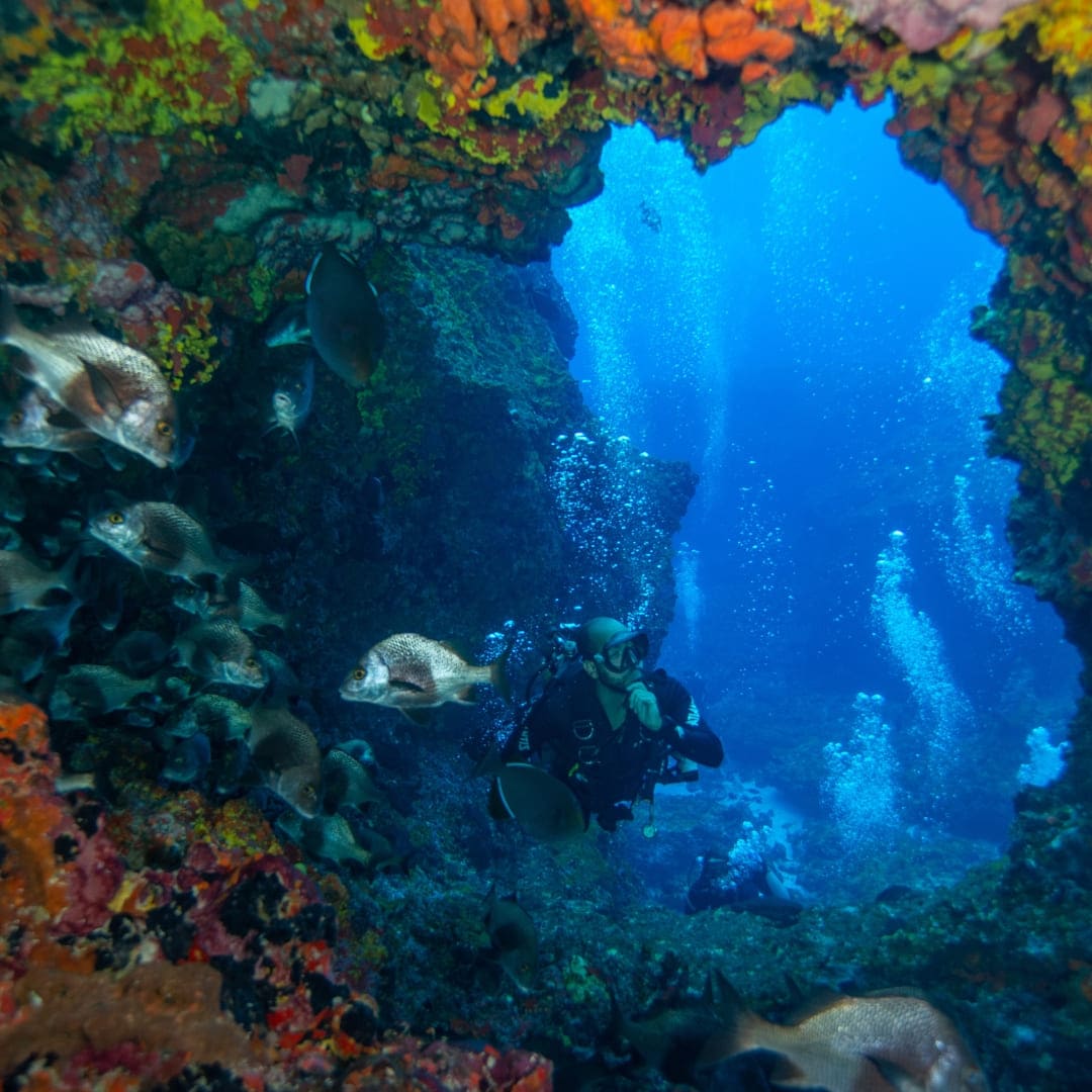 Cours de plongée libre à Fernando de Noronha