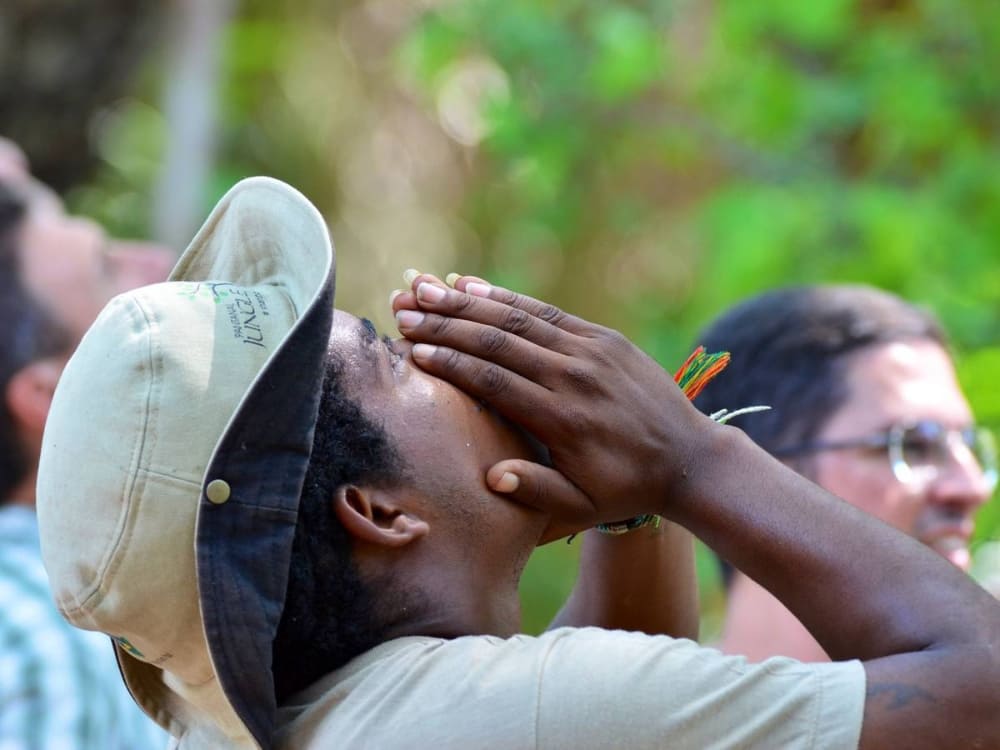 Observando a Natureza no Pantanal