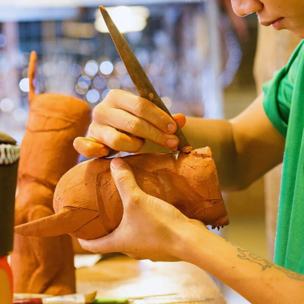 Presque gratuit à Bonito, au Brésil