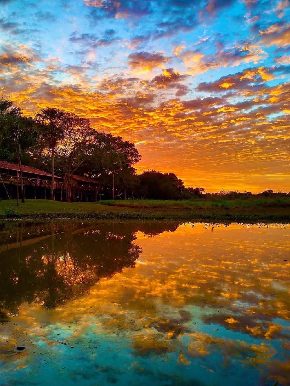 Passeio econômico no Pantanal