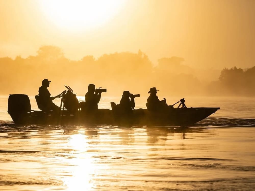 Pantanal Jaguar Photography Tour