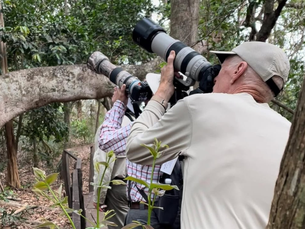 Safari photo du jaguar au Pantanal
