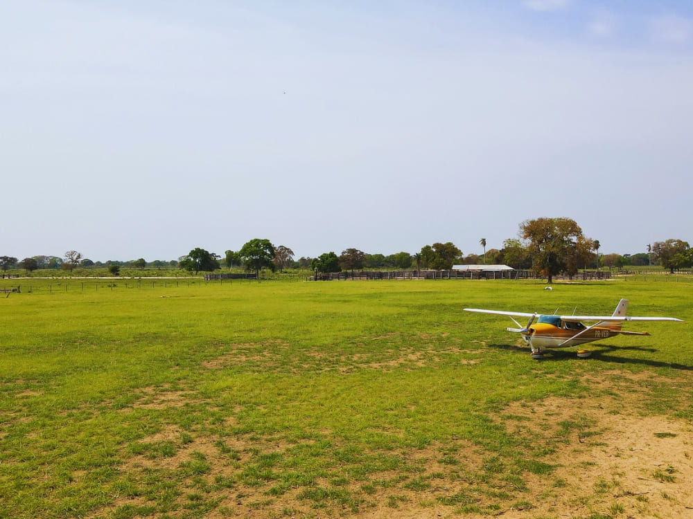Le Pantanal sauvage du sud