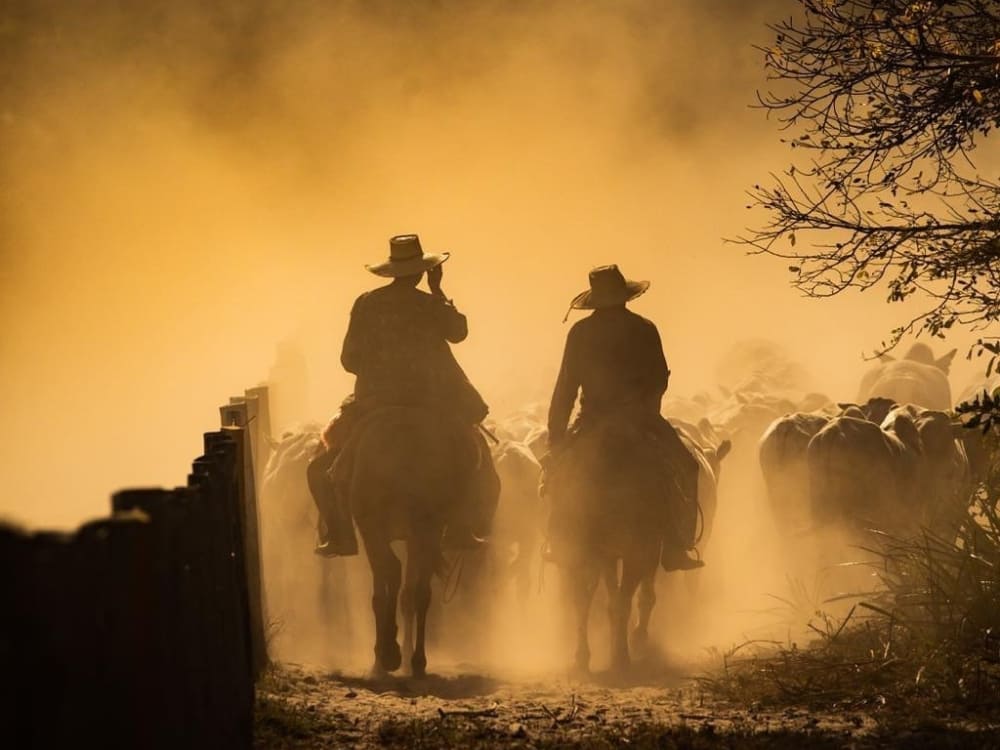 Équitation dans le Pantanal