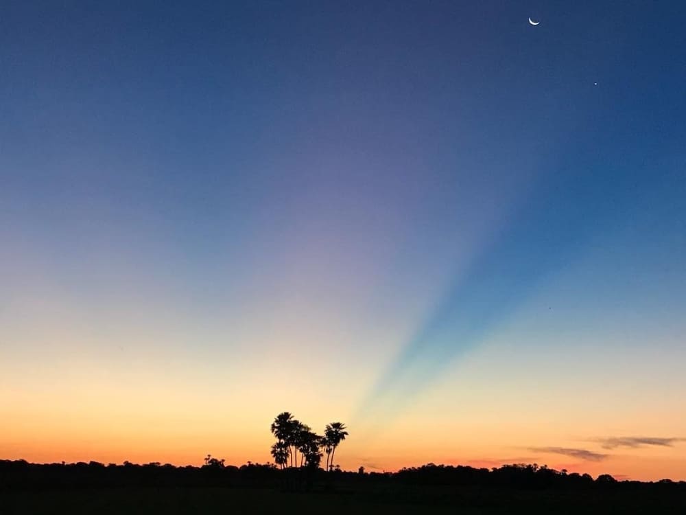 Circuits dans le Pantanal