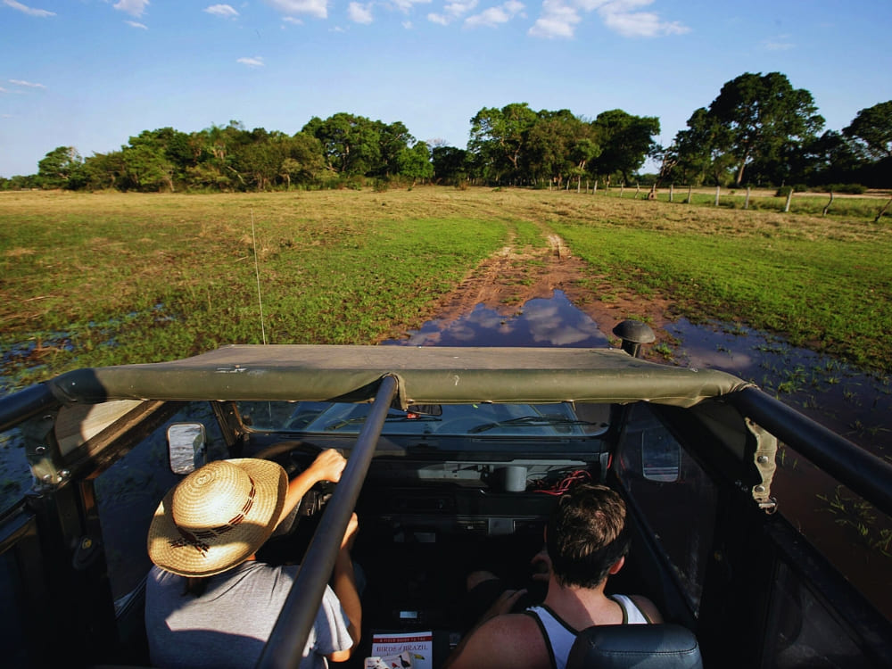 Safari photo l'après-midi en 4x4