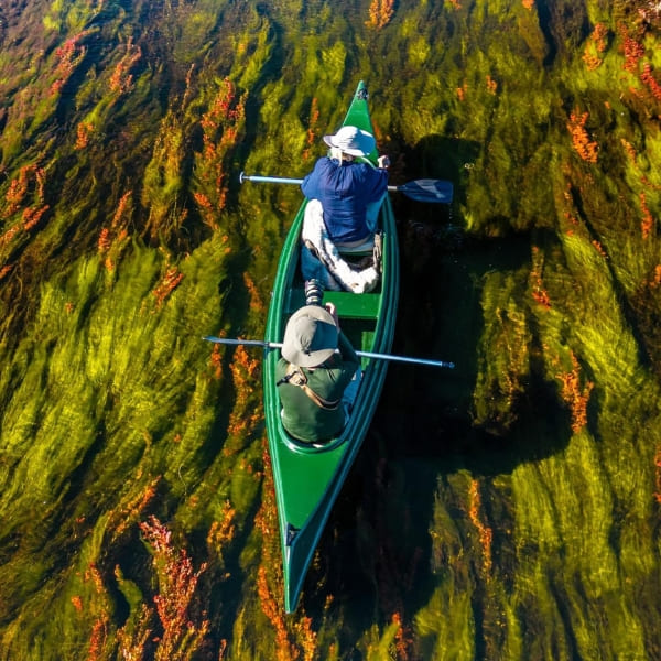 Canoë dans le Pantanal