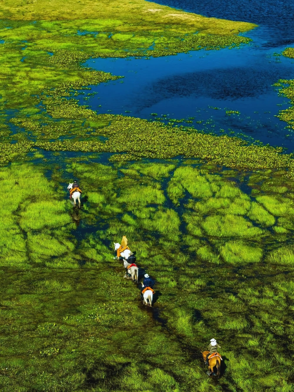 Équitation dans le Pantanal