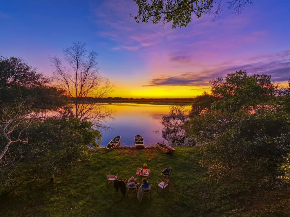 Le Pantanal sauvage du sud