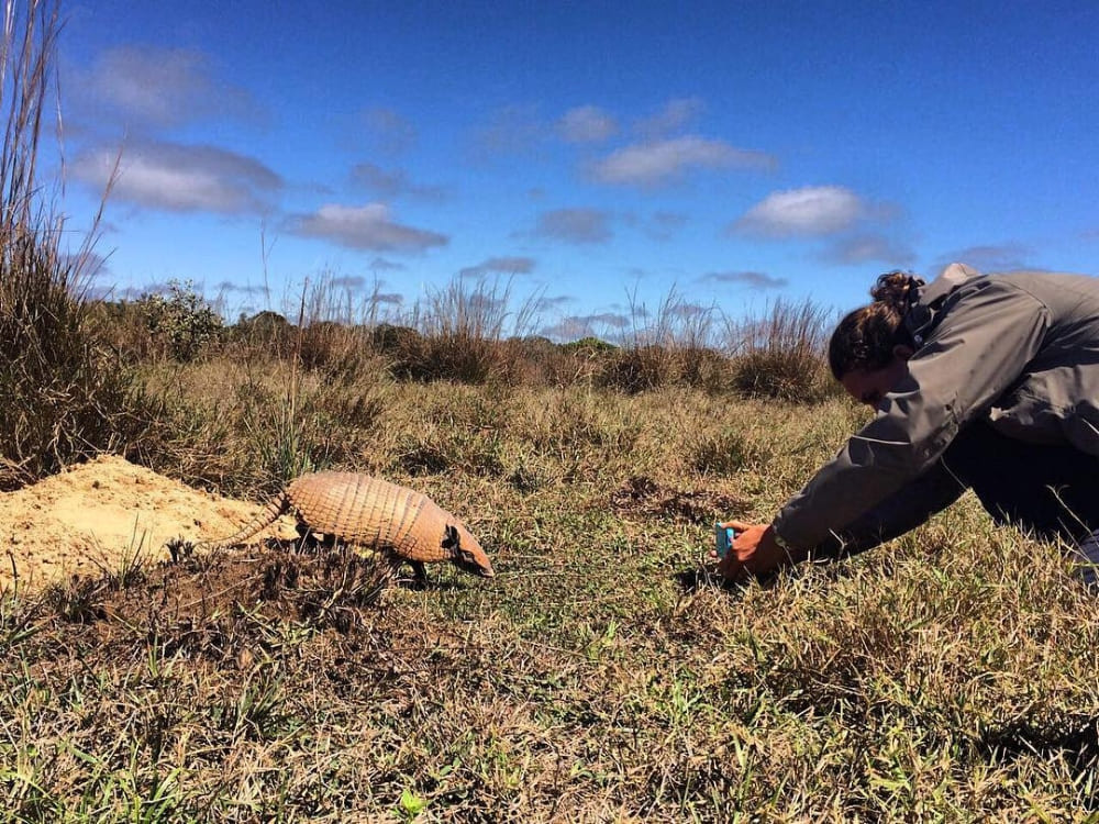 Projet Tatu-Canastra