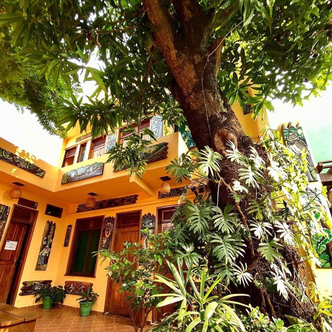 Buitenaanzicht van het gele Hostel Manaus gebouw in de schaduw van grote groene bomen.