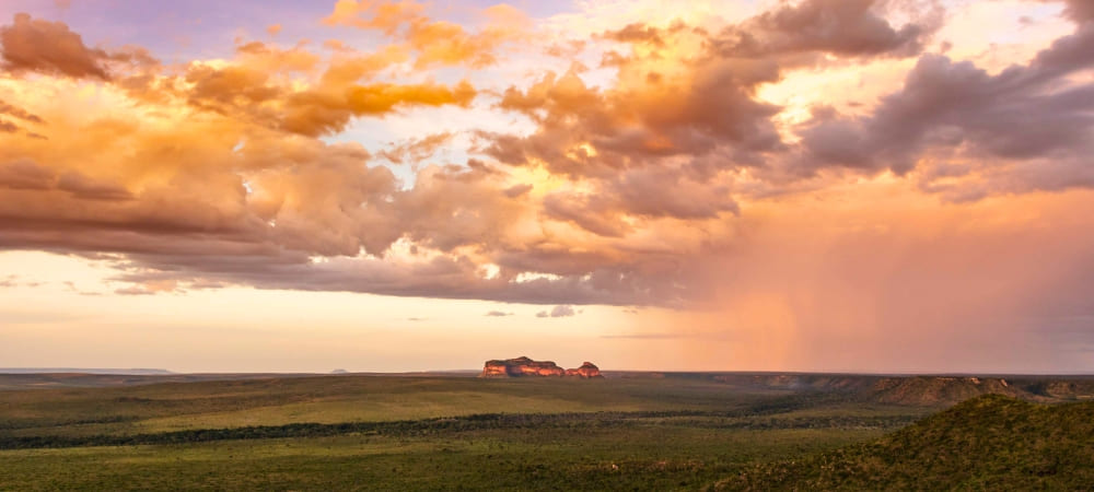 How to visit the Cerrado in Brazil (6) (1)