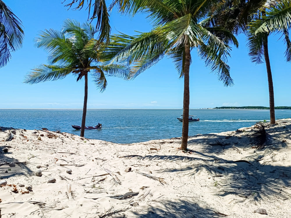 Palmen säumen den hellen Sand nahe der Mündung des Rio Preguiças, kleine Boote segeln auf dem Wasser.