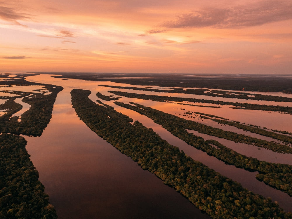 Vue aérienne des eaux sombres du Rio Negro et des îles boisées du parc national d'Anavilhanas au coucher du soleil.