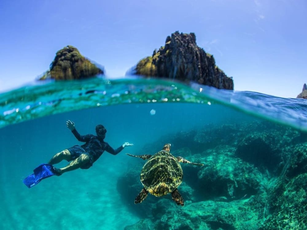 Un plongeur en apnée nage avec une tortue marine dans les eaux claires du parc national Fernando de Noronha.