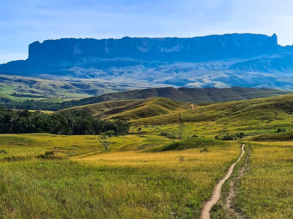 Sentier de randonnée traversant la savane en direction des imposantes falaises du parc national du mont Roraima.