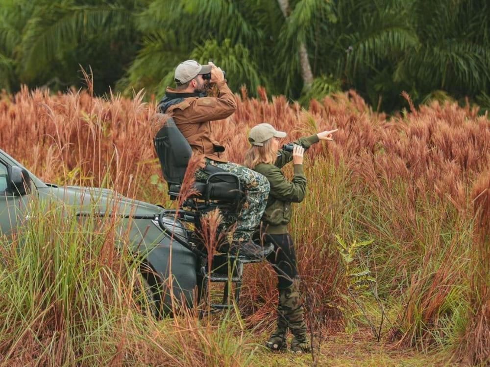 Zwei Touristen nutzen Ferngläser, um während einer Safari-Tour in den Feuchtgebieten Pantanal Tiere zu beobachten.