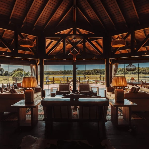 Caiman (Pantanal, Brazil)