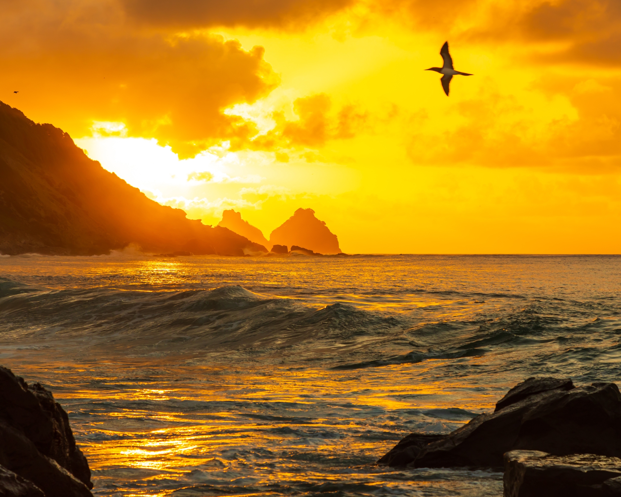 10 luxe ecolodges in Brazilië: duurzaam toerisme en premium diensten