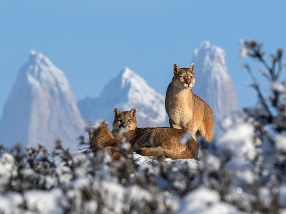 Estancia Cerro Guido 