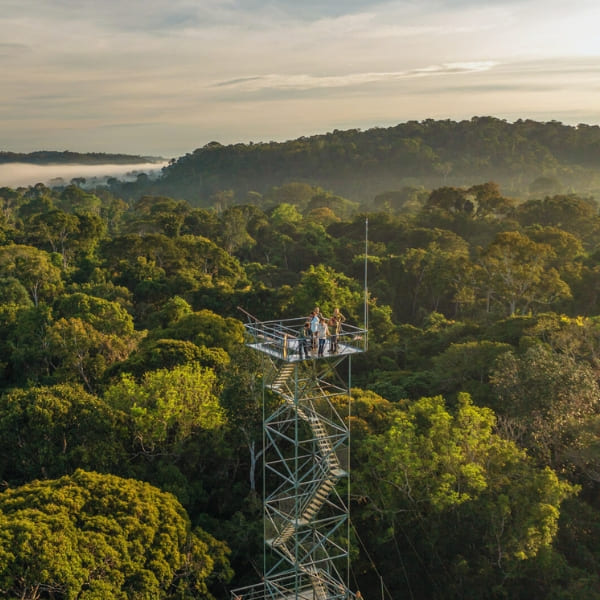 Toeristen staan bovenop een hoge metalen observatietoren boven het bladerdak van het Amazonewoud.