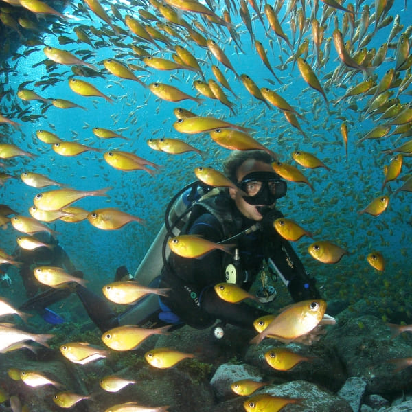 Open balkondeuren onthullen een ligstoel en een prachtig uitzicht op de oceaan in Fernando de Noronha.